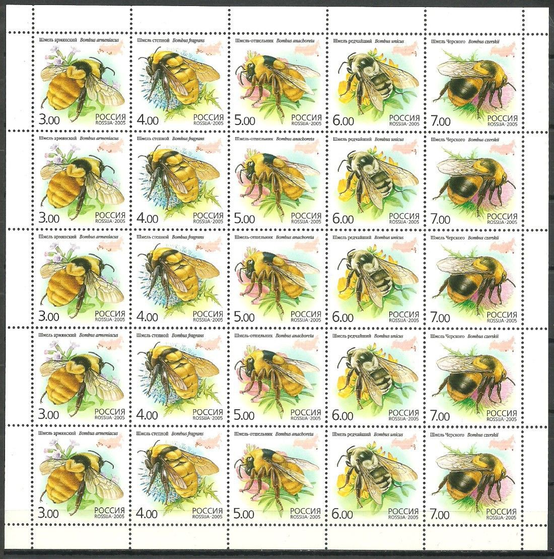 Znaczek Rosja 2005 Mi ark 1266-1270 Czyste **