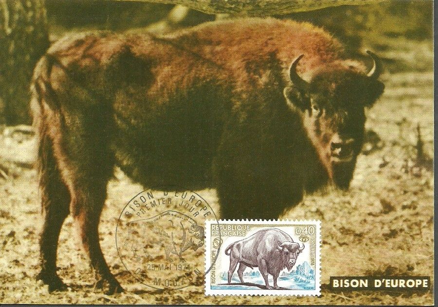 Znaczek Francja 1974 Mi 1874 Karta Max
