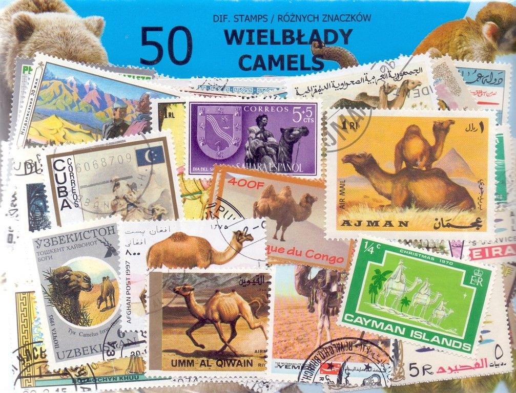 Znaczek WIELBŁĄDY 50 znaczków