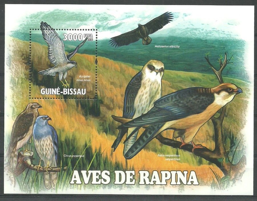 Znaczek Gwinea Bissau 2011 Mi bl 902 Czyste **