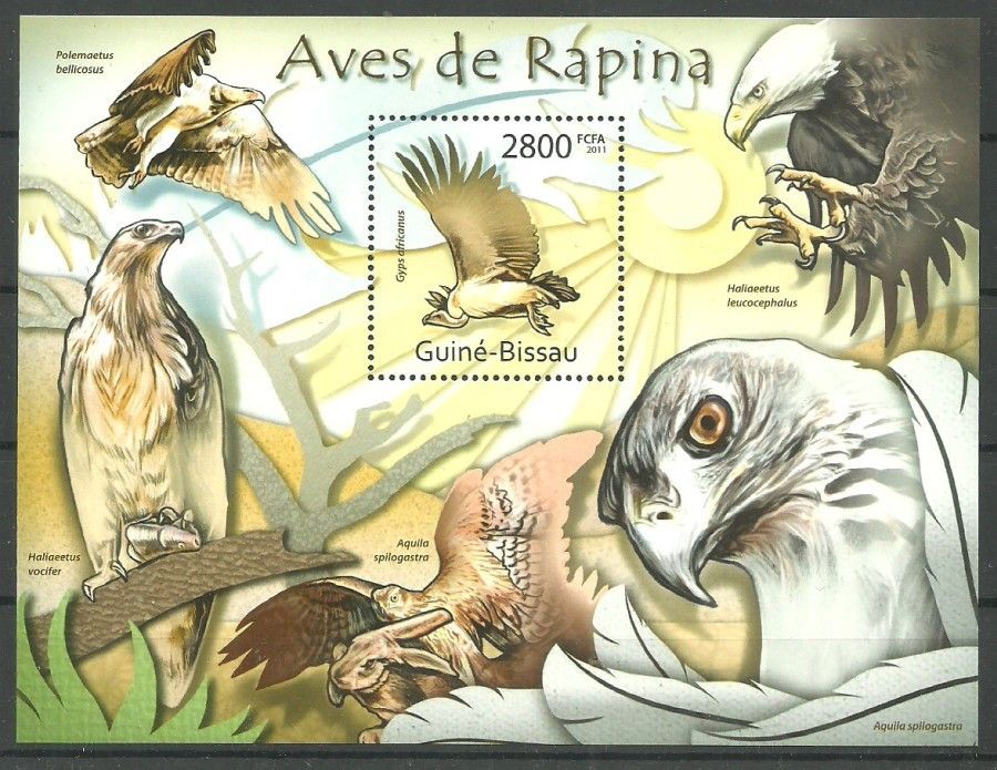 Znaczek Gwinea Bissau 2011 Mi bl 987 Czyste **