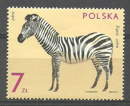 Znaczek Polska 1972 Mi 2170 err Fi 2023 B1 Czyste **