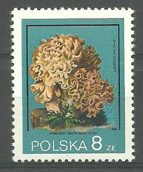 Znaczek Polska 1980 Mi 2697 err Fi 2549 B1 Czyste **
