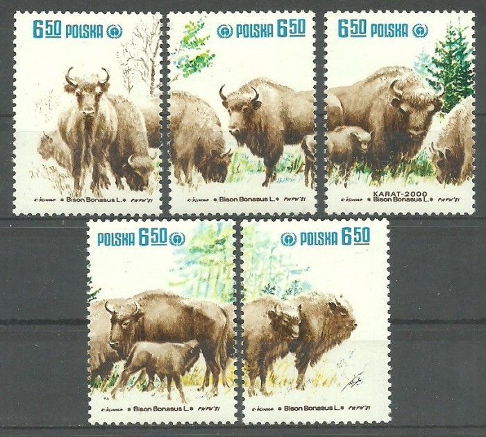 Znaczek Polska 1981 Mi 2764-2768 Fi 2608-2612 Czyste **