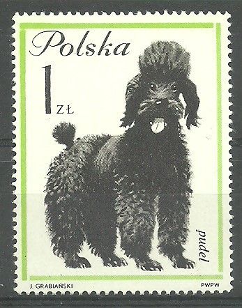 Znaczek Polska 1963 Mi 1379 Fi 1231 Czyste **