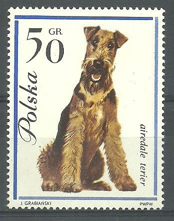 Znaczek Polska 1963 Mi 1377 Fi 1229 Czyste **