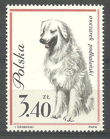 Znaczek Polska 1963 Mi 1381 Fi 1233 Czyste **