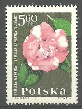 Znaczek Polska 1964 Mi 1552 Fi 1403 Czyste **