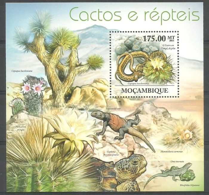Znaczek Mozambik 2011 Mi bl 563 Czyste **