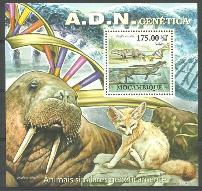 Znaczek Mozambik 2011 Mi bl 565 Czyste **