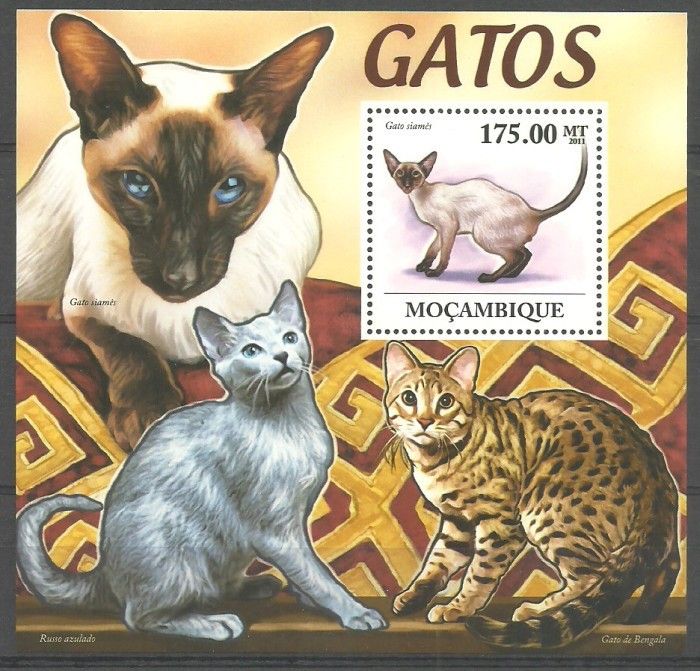 Znaczek Mozambik 2011 Mi bl 567 Czyste **