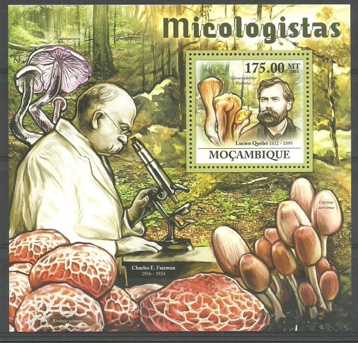 Znaczek Mozambik 2011 Mi bl 575 Czyste **