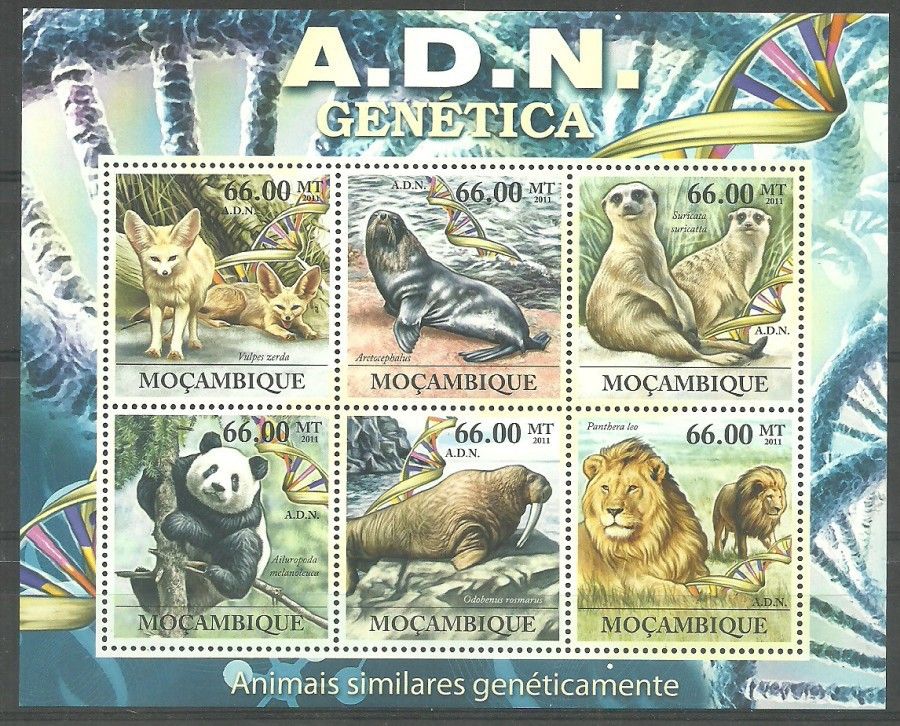 Znaczek Mozambik 2011 Mi ark 5330-5335 Czyste **