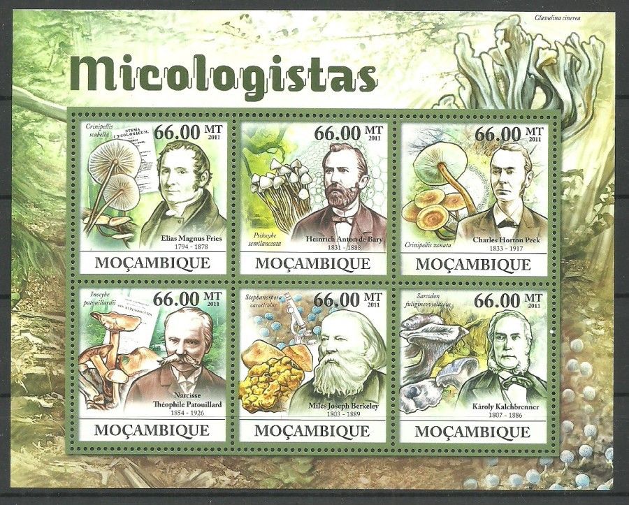 Znaczek Mozambik 2011 Mi ark 5400-5405 Czyste **