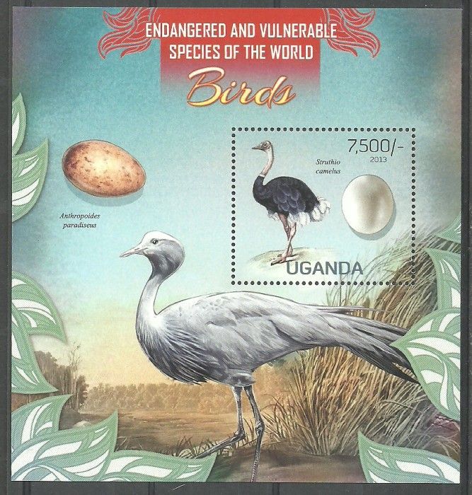 Znaczek Uganda 2013 Mi bl 415 Czyste **