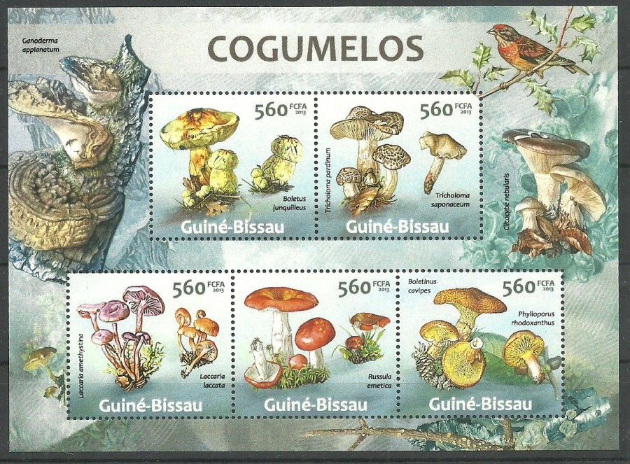 Znaczek Gwinea Bissau 2013 Mi ark 6542-6546 Czyste **