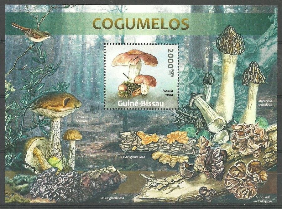 Znaczek Gwinea Bissau 2013 Mi bl 1146 Czyste **