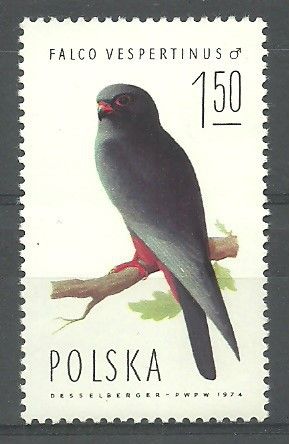 Znaczek Polska 1975 Mi 2357 Fi 2210 Czyste **