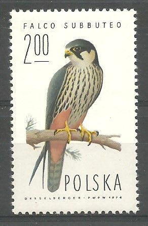 Znaczek Polska 1975 Mi 2358 Fi 2211 Czyste **