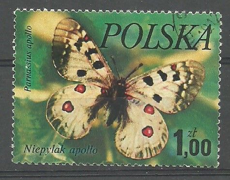 Znaczek Polska 1977 Mi 2516 Fi 2369 Czyste **