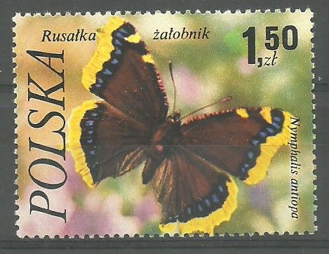 Znaczek Polska 1977 Mi 2519 Fi 2372 Czyste **