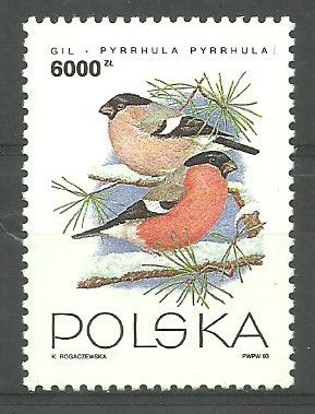 Znaczek Polska 1993 Mi 3463 Fi 3315 Czyste **