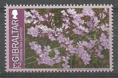 Znaczek Gibraltar 2014 Mi 1636 Czyste **