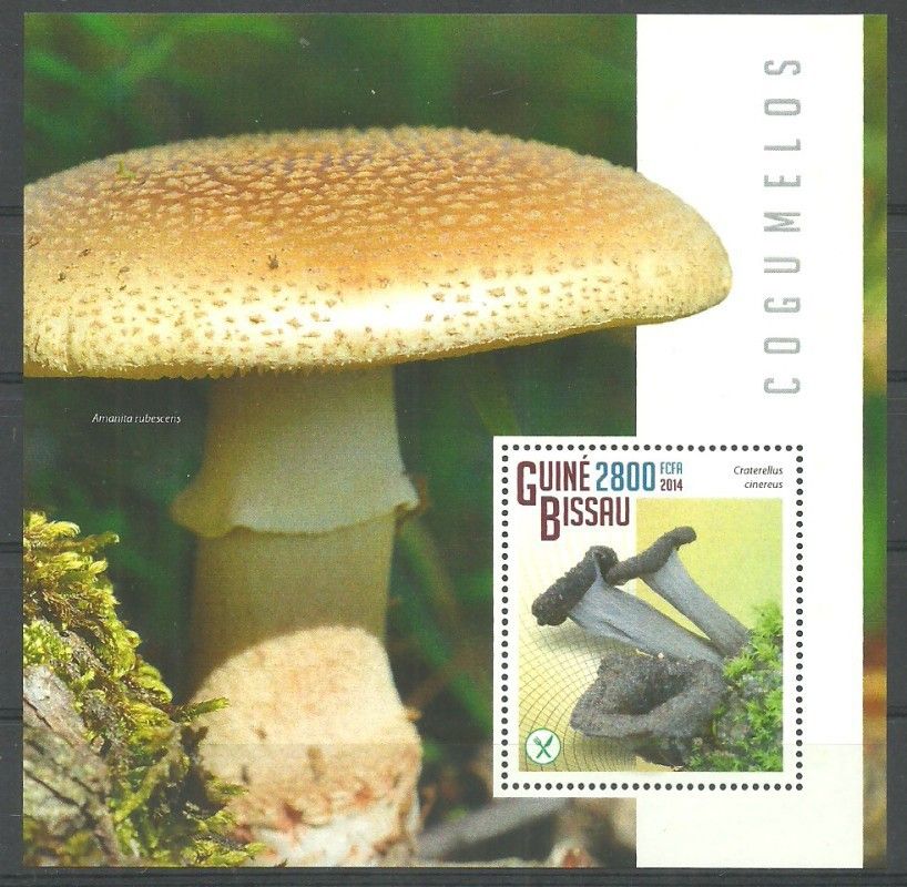 Znaczek Gwinea Bissau 2014 Mi bl 1309 Czyste **