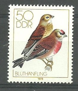Znaczek NRD / DDR 1979 Mi 2393 Czyste **
