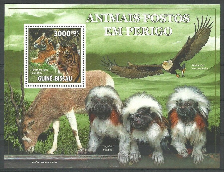 Znaczek Gwinea Bissau 2010 Mi bl 806 Czyste **