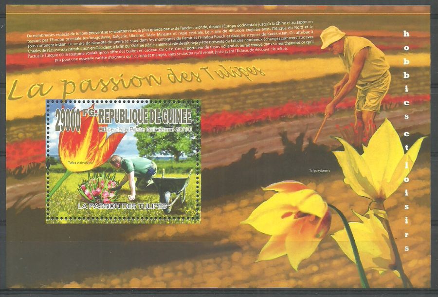 Znaczek Gwinea 2010 Mi bl 1824 Czyste **