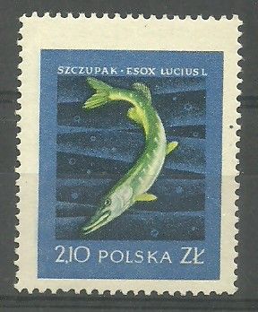 Znaczek Polska 1958 Mi 1053 Fi 908 Czyste **