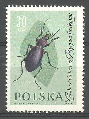 Znaczek Polska 1961 Mi 1278 Fi 1133 Czyste **