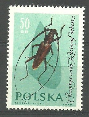 Znaczek Polska 1961 Mi 1280 Fi 1135 Czyste **