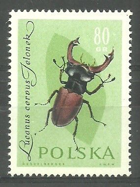 Znaczek Polska 1961 Mi 1282 Fi 1137 Czyste **