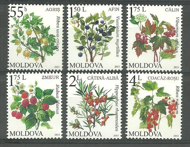 Znaczek Mołdawia 2013 Mi 823-828 Czyste **