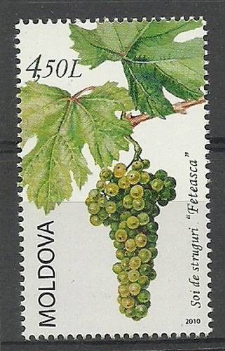 Znaczek Mołdawia 2010 Mi 716 Czyste **