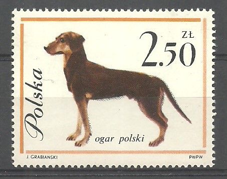 Znaczek Polska 1963 Mi 1380 Fi 1232 Czyste **
