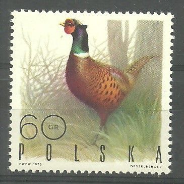 Znaczek Polska 1970 Mi 1989 Fi 1842 Czyste **