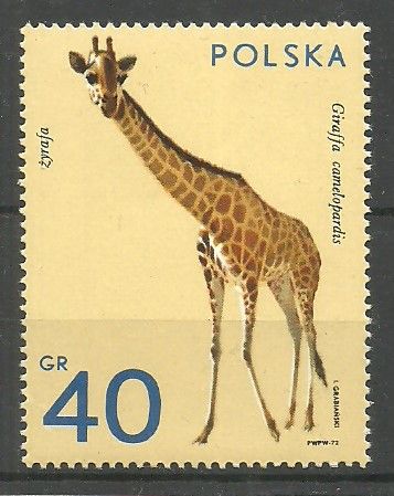 Znaczek Polska 1972 Mi 2163 Fi 2016 Czyste **