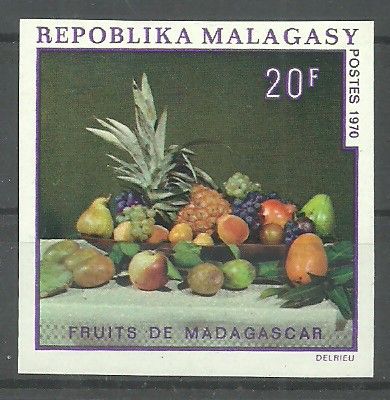 Znaczek Madagaskar 1970 Mi 617B Czyste **