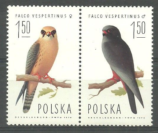 Znaczek Polska 1975 Mi 2356-2357 Fi 2209-2210 Czyste **