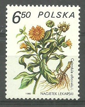 Znaczek Polska 1980 Mi 2710 Fi 2562 Czyste **