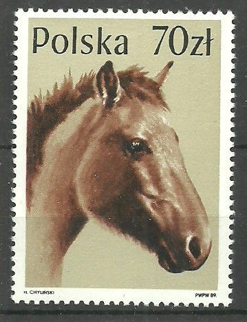 Znaczek Polska 1989 Mi 3195 Fi 3047 Czyste **
