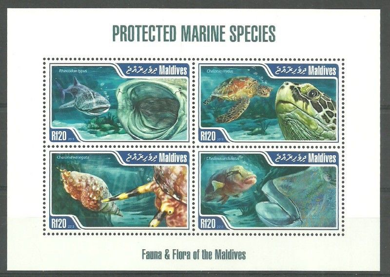 Znaczek Malediwy 2013 Mi ark 4903-4906 Czyste **