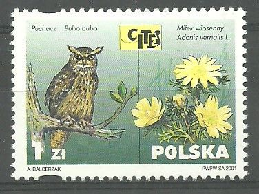 Znaczek Polska 2001 Mi 3898 Fi 3748 Czyste **