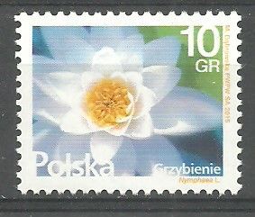 Znaczek Polska 2015 Mi 4788 Fi 4638 Czyste **