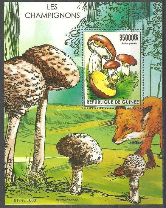 Znaczek Gwinea 2015 Mi bl 2553 Czyste **