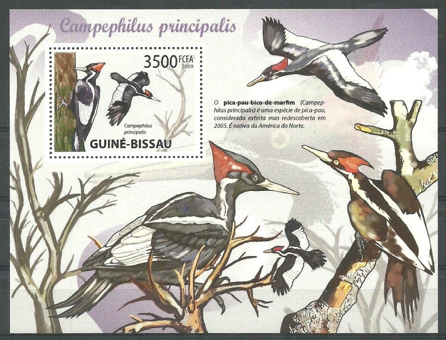 Znaczek Gwinea Bissau 2009 Mi bl 755 Czyste **