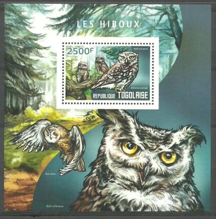Znaczek Togo 2014 Mi bl 1024 Czyste **